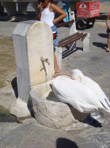 DSC05044